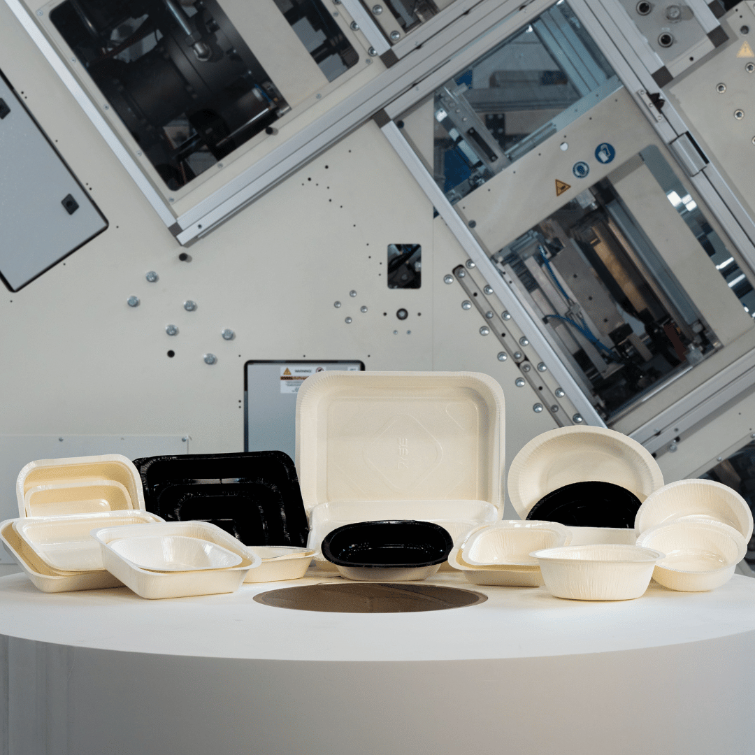 Fresh and frozen food